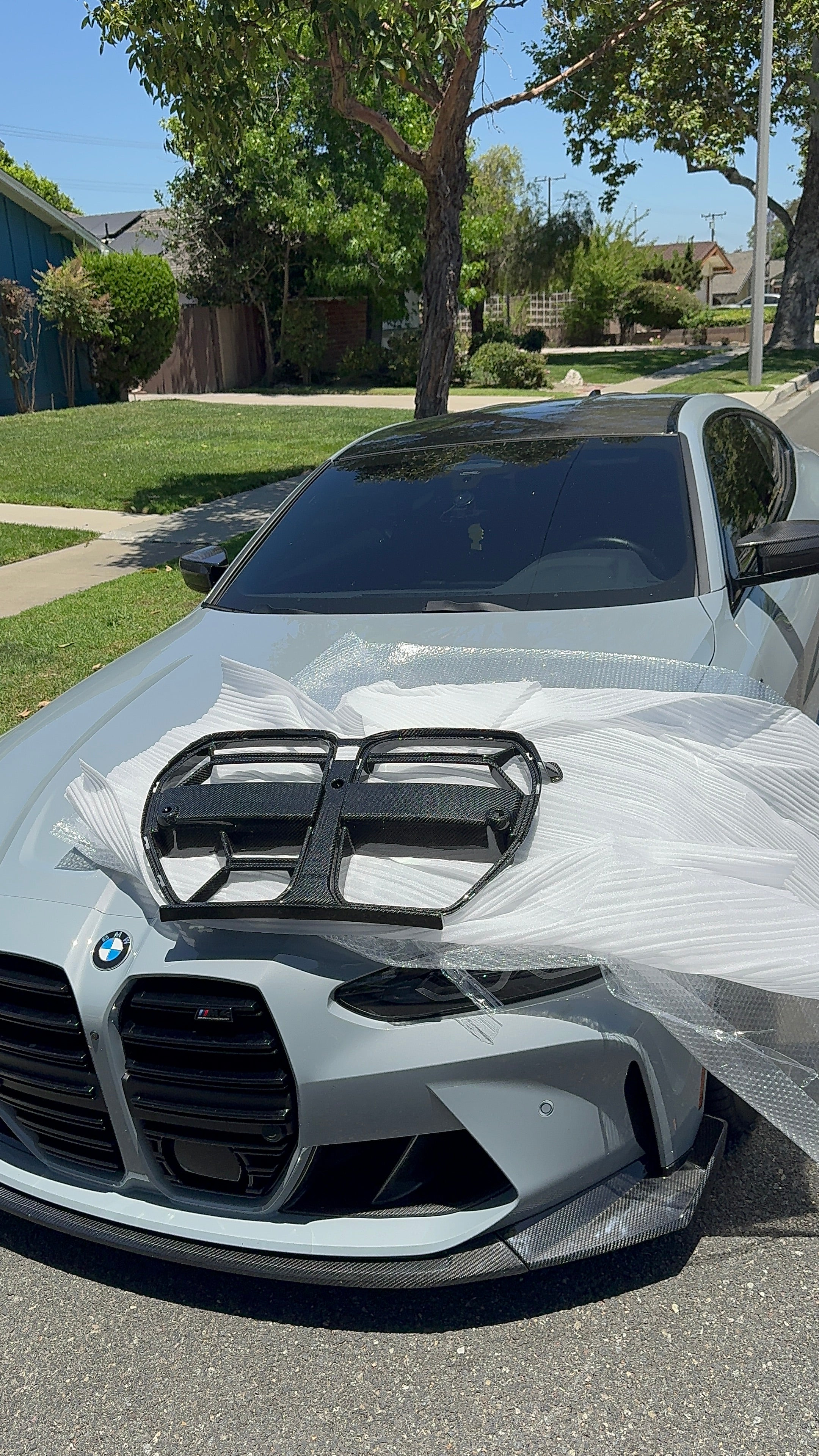 G8x M3/M4 CSL Style Carbon Fiber Grills