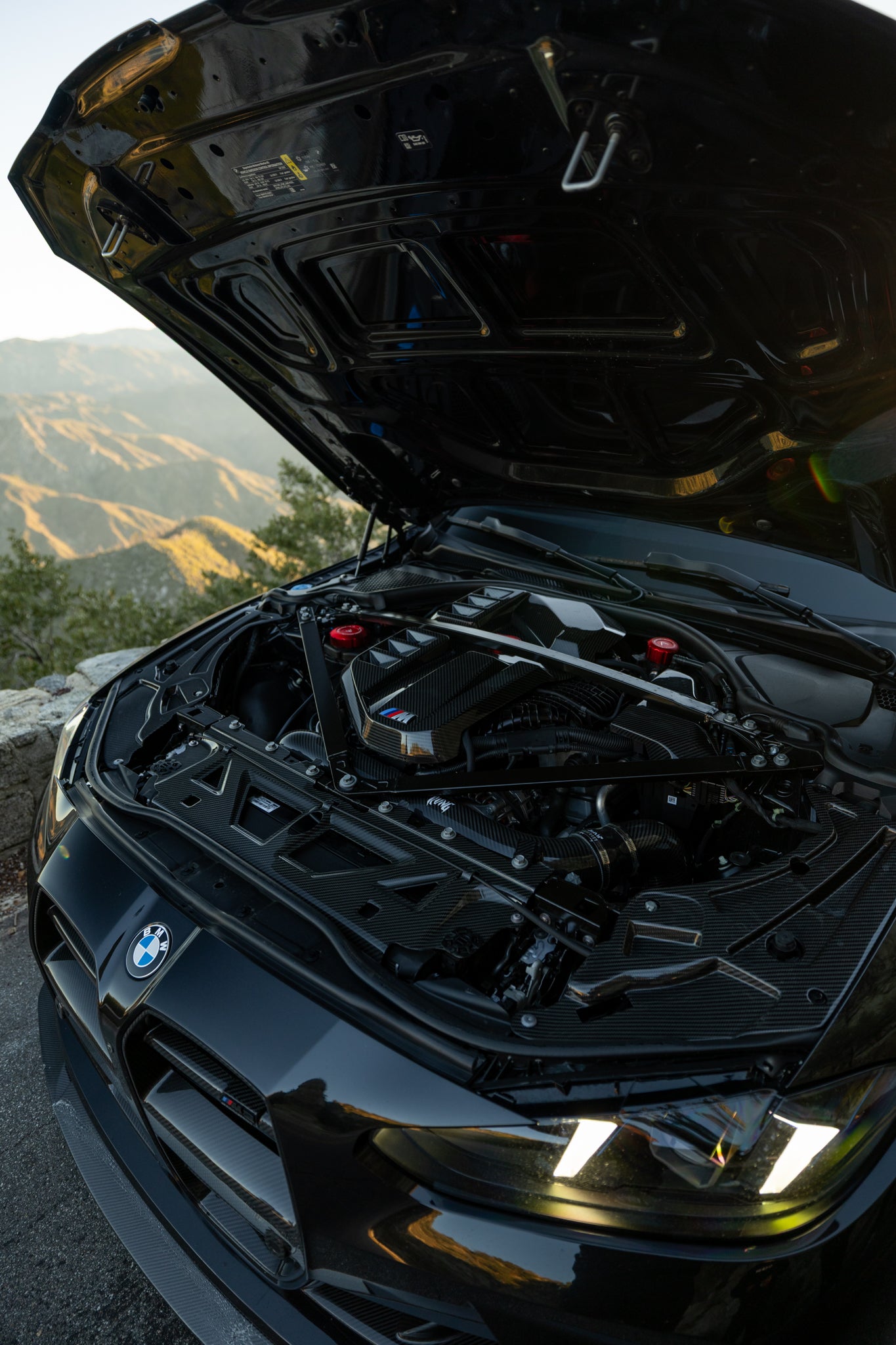 G8x Carbon Fiber Engine Bay Cover