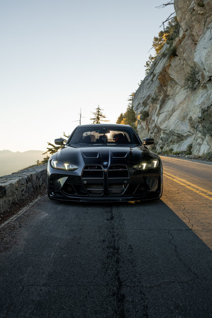 G8X M3/M4 Carbon Fiber GT3 Grills