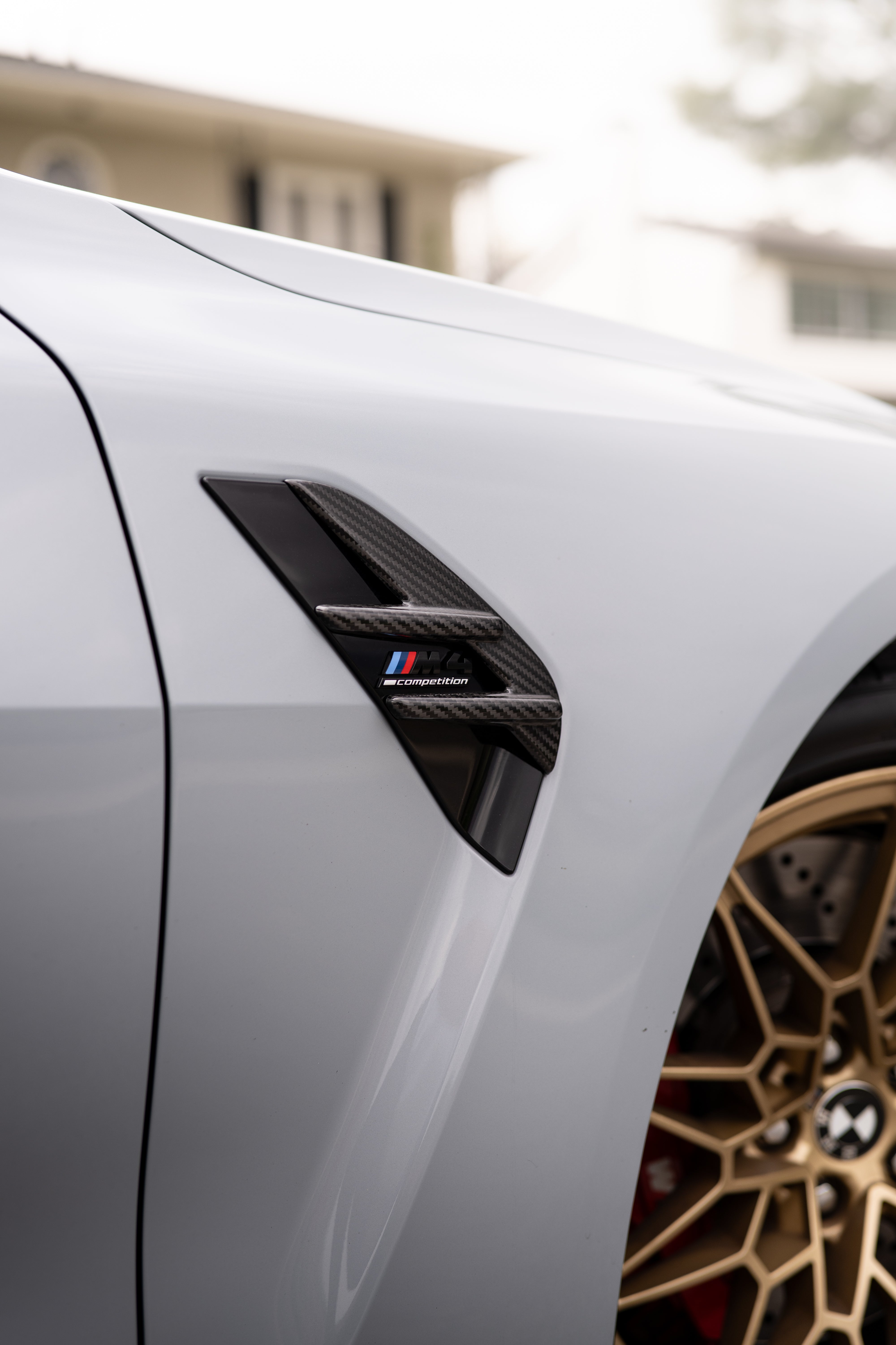 G8x Carbon Fiber fender Fang trim