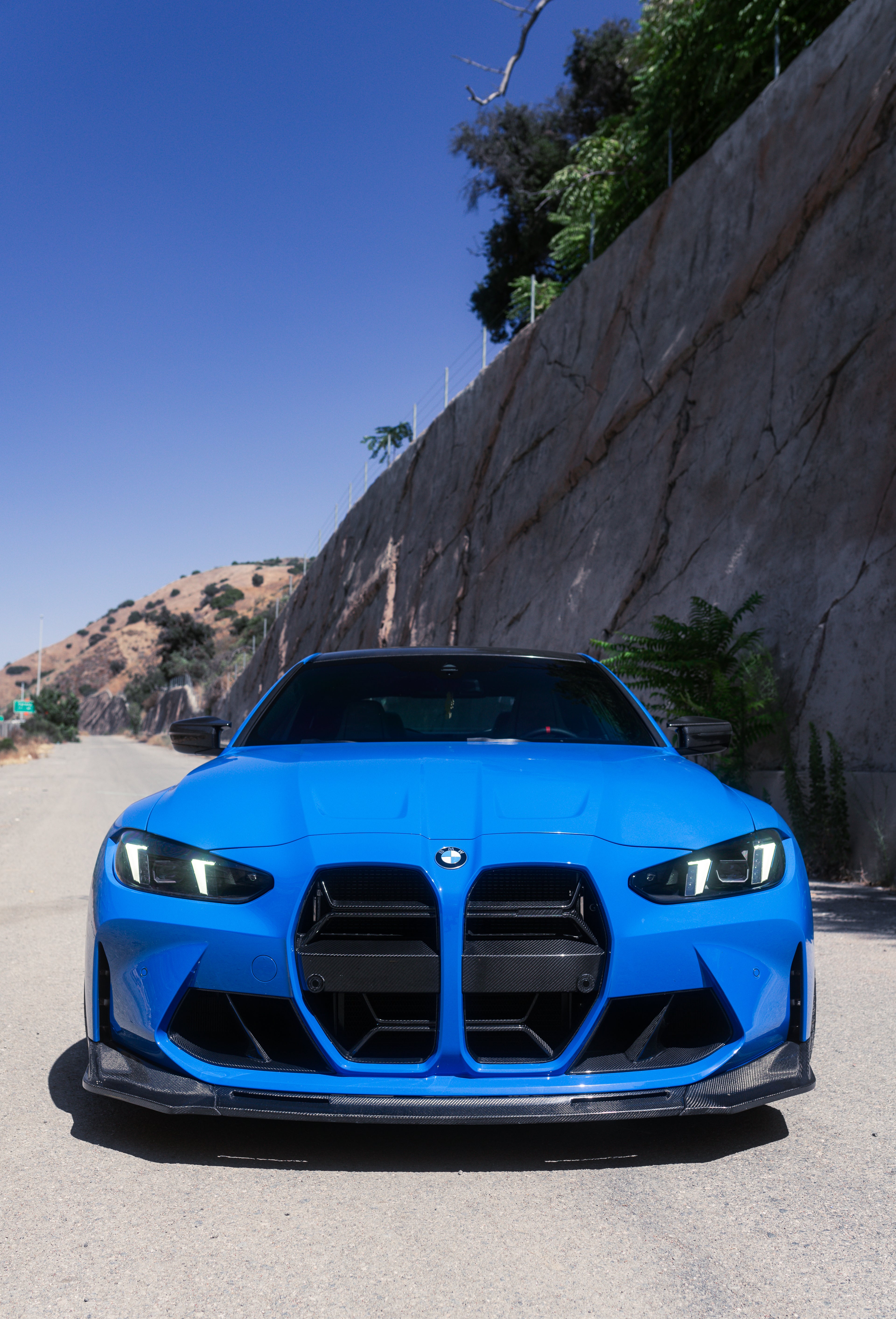 G8x M3/M4 CSL Style Carbon Fiber Grills